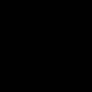 Meet your Posher, Fredy